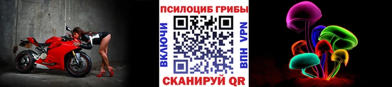 Купить закладки Катайск Галлюциногенные грибы ЛСД